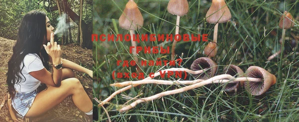 ешки Белоозёрский