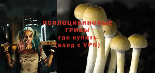ешки Белоозёрский