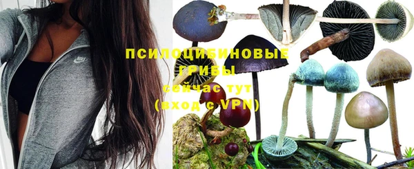 мескалин Беломорск