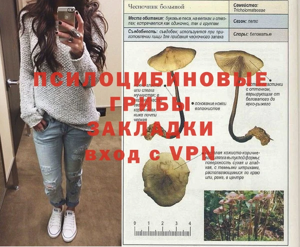 2c-b Белокуриха