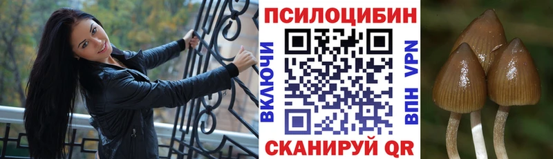 Галлюциногенные грибы мицелий  Окуловка 